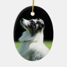 Australian Shepherd dog Ornament