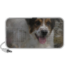 Australian Shepherd Dog Speakers