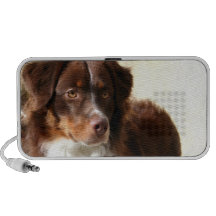 Australian Shepherd doodle speaker