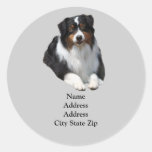 Australian Shepherd Guardian Address Label Sticker