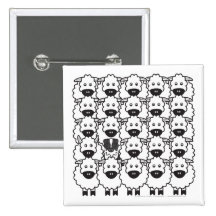 Australian Shepherd in the Sheep Pins