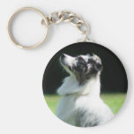 Australian Shepherd keychain