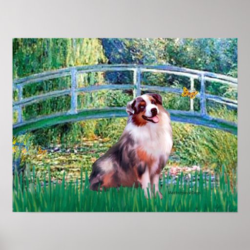 Australian Shepherd (merle) - Ophelia Seated Print