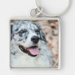 Australian Shepherd Modern Photo Keychain