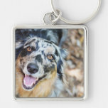 Australian Shepherd Modern Photo Keychain
