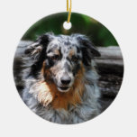 Australian Shepherd Modern Photo Ornament