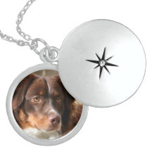 Australian Shepherd Necklaces