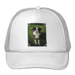Australian Shepherd Photo Design Baseball Hat
