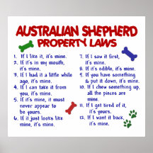 AUSTRALIAN SHEPHERD PL2 POSTERS