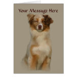 Australian Shepherd Red Greeting Card