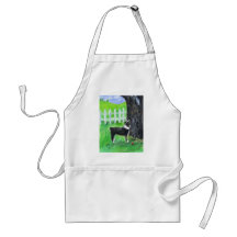 Australian Shepherd sees squirrel Aprons