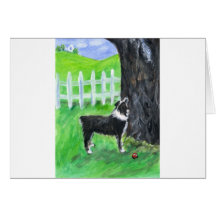 Australian Shepherd sees squirrel Card