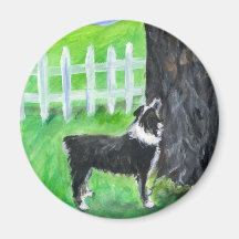 Australian Shepherd sees squirrel Refrigerator Magnet