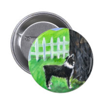 Australian Shepherd sees squirrel Pinback Button