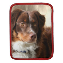 Australian Shepherd Sleeves For iPads