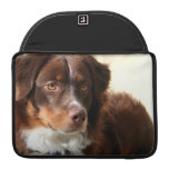 Australian Shepherd Sleeves For MacBook Pro