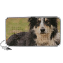 Australian Shepherd Speakers