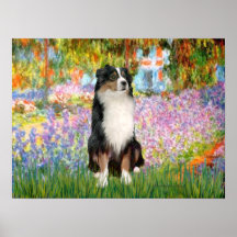 Australian Shepherd Tri2 - Garden Print