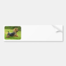 Australian Silky Terrier design Bumper Sticker