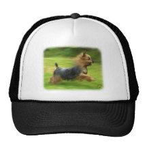 Australian Silky Terrier design Trucker Hats