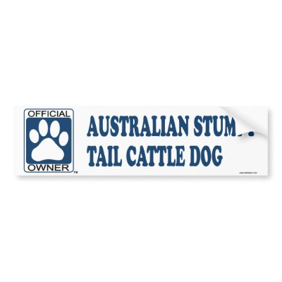 Australian Stumpy Tail Cattle Dog Blue Bumper Sticker by GenuineDogOwner