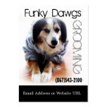 Australien de toilettage de chien frais dans le sw cartes de visite professionnelles