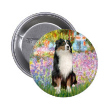 Australien Shep 2 - jardin Pin's