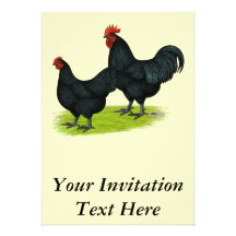 Australorp Black Chickens Personalized Invites
