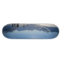 austria skate deck