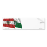 Austria & Steiermark Waving Flags