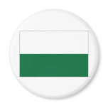 Austria Styria Flag Magnet