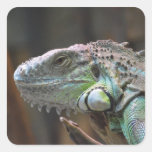 Autocollant avec la tête du lézard coloré d'iguane