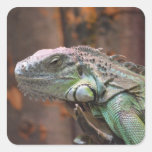 Autocollant avec le lézard coloré d'iguane