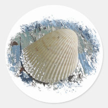 Autocollant de coquillage d'amusement