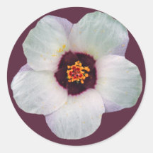 Autocollant de fleur blanche