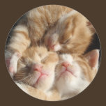 Autocollant de gentillesse de chaton autocollants