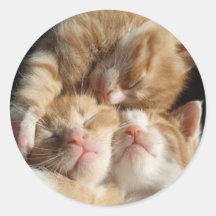 Autocollant de gentillesse de chaton