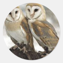 Autocollant de hibou de grange