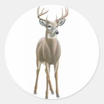 Autocollant de mâle de Whitetail