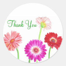 Autocollant de marguerites de Gerbera