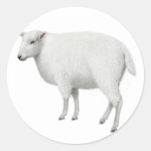 Autocollant de moutons