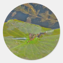 Autocollant de protection et de Damselfly de lis