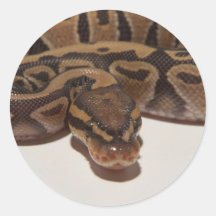 Autocollant de python de boule de fantôme