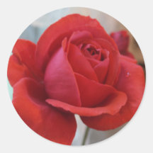Autocollant de rose rouge