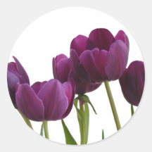 Autocollant de tulipes