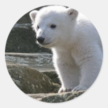 Autocollant d'ours blanc de bébé