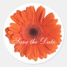Autocollant floral fait sur commande de marguerite
