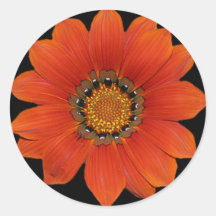 Autocollant Flower2 orange