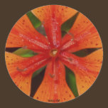Autocollant orange de lis autocollants