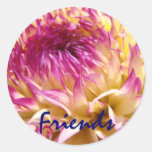 Autocollant pourpre de fleur de dahlia de rose d'a
